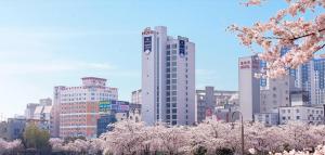 光州CS Hotel的城市天际线,建筑前方有樱花树