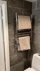 奥勒Sadelbyn Fjällhem的浴室配有带卫生间的毛巾架
