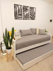 科尔多瓦NUEVA CORDOBA Apartamento ILLIA, Excelente ubicación!!!的客厅里长着长沙发,长着植物