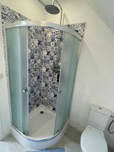 普列维扎Rose Cottage的一间带卫生间的浴室内的玻璃淋浴间