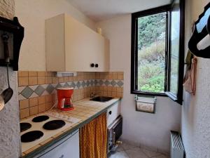 乌弗奈特弗斯Appartement Pra-Loup, 2 pièces, 4 personnes - FR-1-165A-85的小厨房配有炉灶和水槽