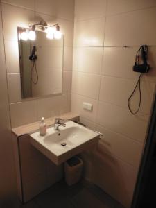 沃尔夫斯堡Hotels Landhaus Dieterichs的一间带水槽和镜子的浴室