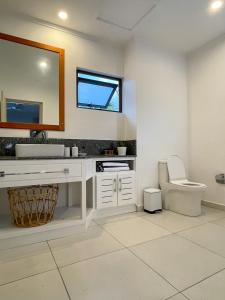 马埃岛Nautilus Apartments的一间带卫生间、水槽和镜子的浴室
