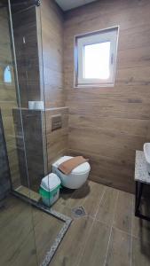 奥赫里德Villa Natali的一间带卫生间和玻璃淋浴间的浴室