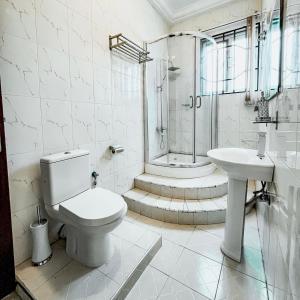 OteleAduk Guest House Airport City Accra的浴室配有卫生间、盥洗盆和淋浴。
