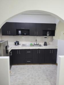 NorcasiaCasa Central, primer piso的厨房配有黑色橱柜和水槽