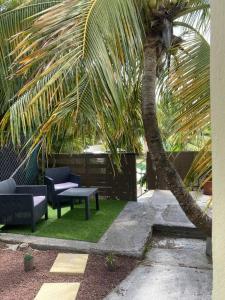 舍尔谢Maison avec spa et jardin的棕榈树和两把椅子,棕榈树