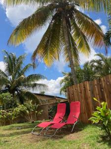 舍尔谢Maison avec spa et jardin的两把红色椅子坐在棕榈树下