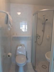 派尔努Inge Villa的一间带卫生间和淋浴的浴室
