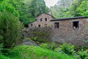 PaderneCasas del Molino - Muiños do Mainzoso Turismo Rural的森林中间的一座古老的石头房子