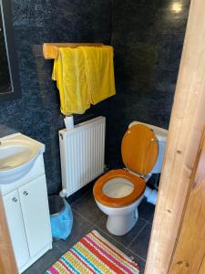 卡菲利Prince of Wales inn的浴室设有卫生间、水槽和黄色毛巾。