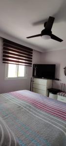 梅利利亚EL RINCON DORADO的一间卧室配有一张床和吊扇