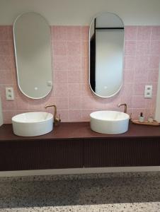 MaarkedalVakantiehuis 't Leideveld的浴室设有2个水槽和镜子