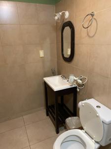 埃斯克尔艾林公寓的一间带卫生间、水槽和镜子的浴室