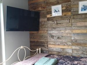 赫尔斯顿Rhubarb Hut, set in the beautiful Cornish Countryside的一间卧室设有木墙和平面电视