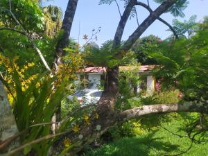 Santa Cruz VerapazCasa de Campo 4 habitaciones Ideal 12 personas的被树木和植物所环绕的房子