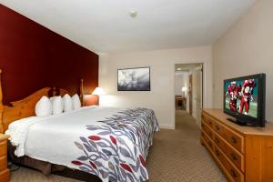 黑兹尔顿Red Roof Inn & Suites Hazleton的配有一张床和一台平面电视的酒店客房