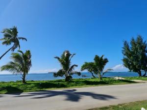 努库阿洛法Sky Lodge的海滩上一条种有棕榈树的道路
