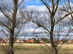 RinglebenLandgasthof Zum Ring的两棵树在有教堂的田野里