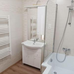 切尔塞格托毛伊Búzavirág házikó的白色的浴室设有水槽和淋浴。
