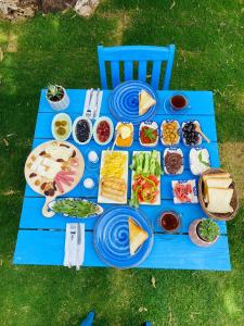 乌尔拉Bonjourla Otel的一张蓝色野餐桌,上面放着一大堆食物