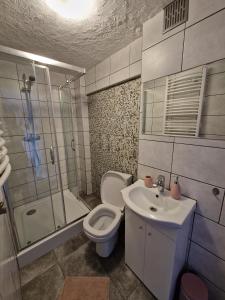 拉德库夫Stara Kuźnia Radków的浴室配有卫生间、淋浴和盥洗盆。