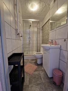 拉德库夫Stara Kuźnia Radków的浴室配有卫生间、盥洗盆和淋浴。