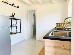 锡拉库扎Plemmirio Apartment的厨房配有水槽和冰箱