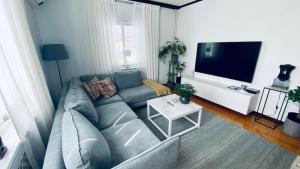 松兹瓦尔Sundsvall by M - Apartment的带沙发和平面电视的客厅