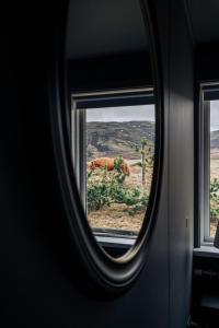 塞尔福斯Golden Circle Luxury Cottages的透过窗户可欣赏到马匹的景色