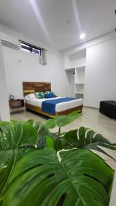 莱蒂西亚Amazonia Deluxe Calle 13的一间卧室设有床铺和大型绿色植物