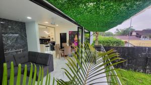 莱蒂西亚Amazonia Deluxe Calle 13的带沙发和植物的客厅