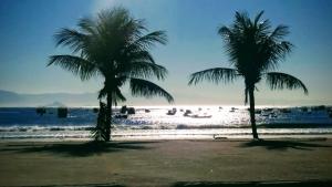瓜鲁雅Kitnet do Costa Praia do Pereque Guaruja!!!的两棵棕榈树,在海滩上
