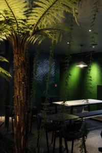 但尼丁Ebb-Dunedin的一间设有桌子和棕榈树的客房