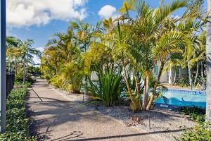 萨拉曼德湾Oaks Pacific Blue Pool spa more in complex的一条棕榈树环绕的小路,毗邻游泳池