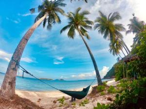 热浪岛Redang Campstay Bamboo House的海滩上两棵棕榈树之间的吊床