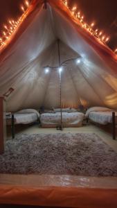 圣佩德罗·德·阿塔卡马Glamping Dunas del sol的带2张床和地毯的帐篷客房