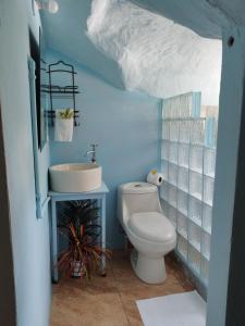 德雷克Domito Corcovado的浴室配有白色卫生间和盥洗盆。