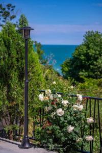 布尔加斯Marina Sarafovo的玫瑰花丛旁边的灯柱