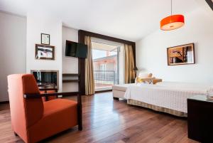 阿尔卡拉德荷那利斯嘉利那岛酒店的一间卧室配有一张床、一把椅子和电视
