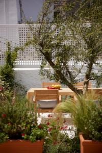 伊兹拉Orloff Legacy Suites Hydra的花园里种有植物,配有桌椅