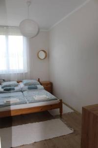 布达佩斯Apartment next to the river的一间卧室设有一张床和一个窗口