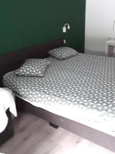 那慕尔Le Jardin du Thé Bord de la Meuse的卧室内的一张床位,卧室设有绿色的墙壁