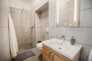 布雷日采Guesthouse Pr'Šefu的白色的浴室设有水槽和卫生间。