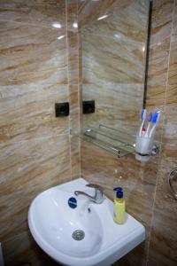AghavnadzorNoravank L-and-L的墙壁上的浴室里设有一个白色水槽