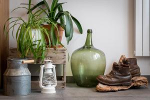奥尔贝Terre de Sapins的一张桌子,上面有玻璃瓶,植物和靴子