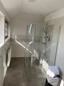 布拉格Residence Top Floor Apartment的带淋浴和玻璃淋浴间的浴室