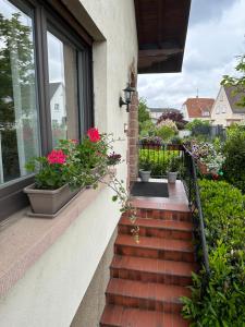 塞莱斯塔Villa Schmitt的窗户上种有红色花卉和植物的阳台