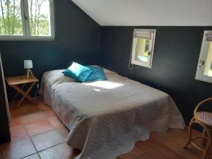 Chevillon-sur-HuillardMoulin en bord de rivière - 1 à 5 pers - logement atypique-linge-wifi的一间卧室配有一张带蓝色枕头的床。