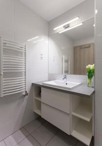 塞格德Dobó Apartman的白色的浴室设有水槽和淋浴。